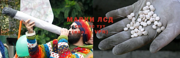 PSILOCYBIN Зуевка