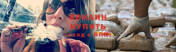 PSILOCYBIN Бугульма