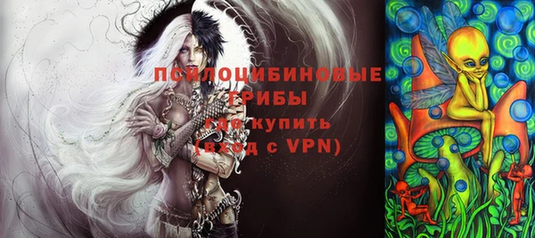mdpv Бородино